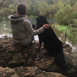 Bernedoodle, Bernese Mountain Dog, and Goldendoodle All Grown Up from Bernedoodles of the Ozarks