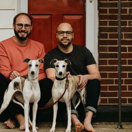 Whippet All Grown Up from Whippets of Westgate