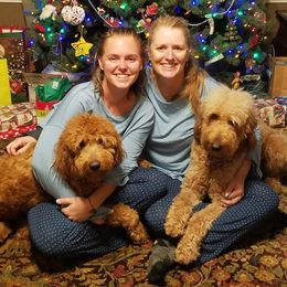Bernedoodle, Goldendoodle, and Poodle All Grown Up from Donnasdoodlebugs