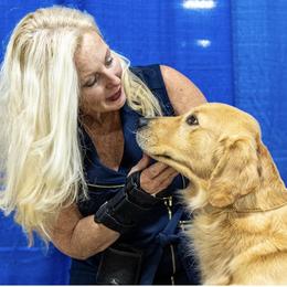 Golden Retriever Puppies from Champagne Goldens