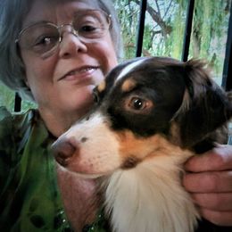 Miniature Australian Shepherds from PJ's Aussie Posse