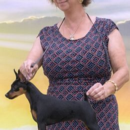 Penelope - Miniature Pinscher