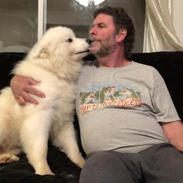 Samoyed Puppies from Bluegrass Samoyeds