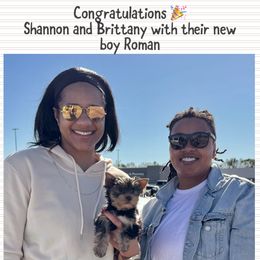 Biewer Terrier and Yorkshire Terrier Puppies from Southeast Biewers