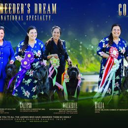 Miniature Schnauzers from Ernhart & Oblivion