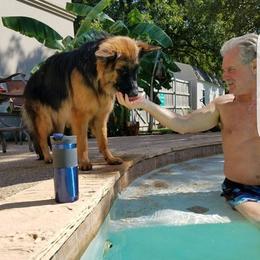 German Shepherd All Grown Up from Cheryl Fedak's German Shepherds