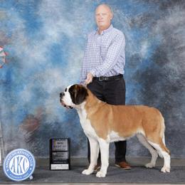 Ruth - Saint Bernard