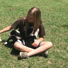 Bloodhound and Border Collie Puppies from Whisenhunt Farms Border Collies