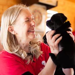 Golden Retriever and Labrador Retriever Puppies from Can Do Canines Assistance Dogs