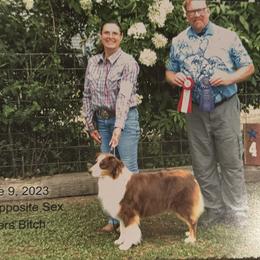 Australian Shepherd Puppies from HT2 Australian Shepherds