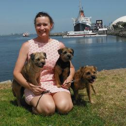 Border Terriers from Fortune Farms