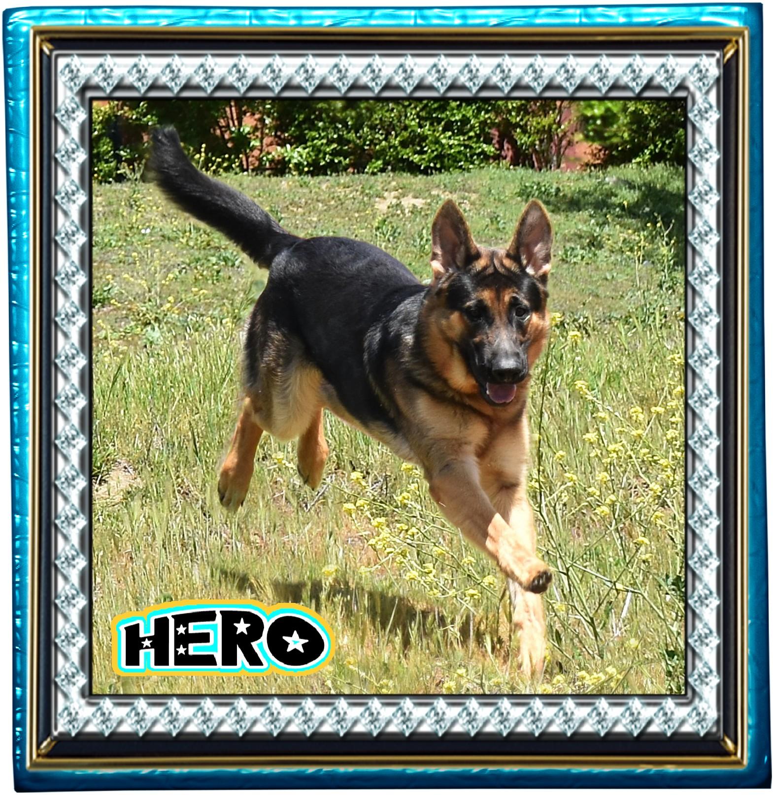 HERO