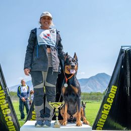 Xerxes - Beauceron