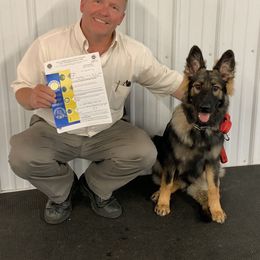 German Shepherd Puppies from Von Lindesfarne