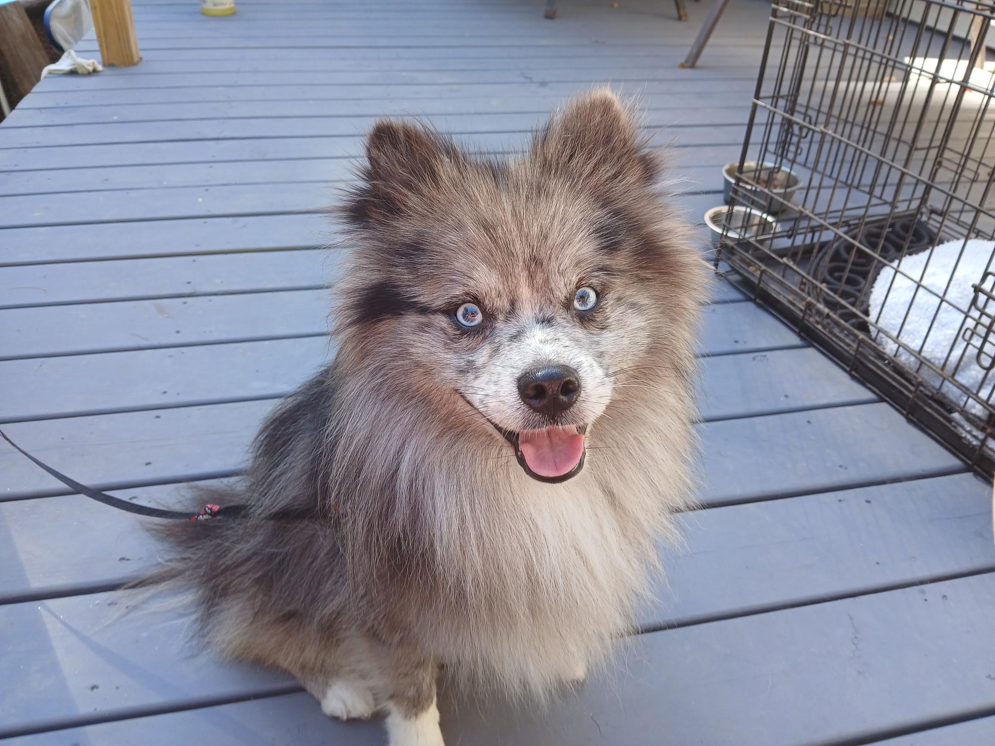 Jasper
