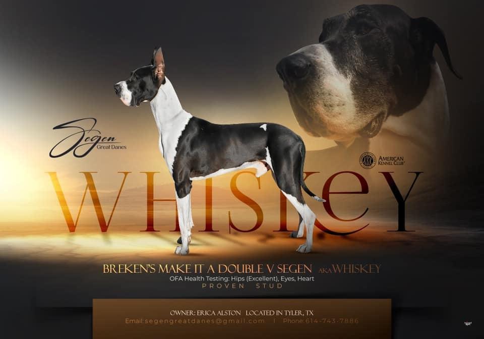 Whiskey