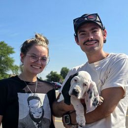 Einstein (Green) - Black white and tan male Basset Hound puppy in Lebanon, Ohio from Golden Acres Dachshunds and Bassets