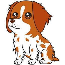 Boy 1 - Orange and white male Brittany puppy in Alburtis, Pennsylvania from Triumphant Kennels