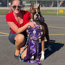 Maverick - Boxer