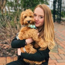 Australian Labradoodle Puppies from Berrybrook Doodles