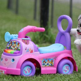 Miniature American Shepherd Puppies from Southern Star Miniature American Shepherds
