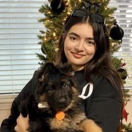 German Shepherd Puppies from Von Gonzalez Kennel