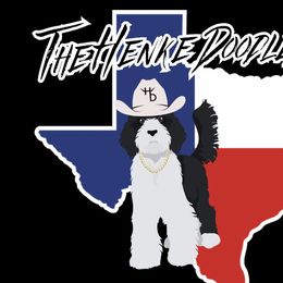 Bernedoodles and Labradoodles from The Henke Doodles