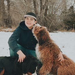 Sadie - Bernedoodle