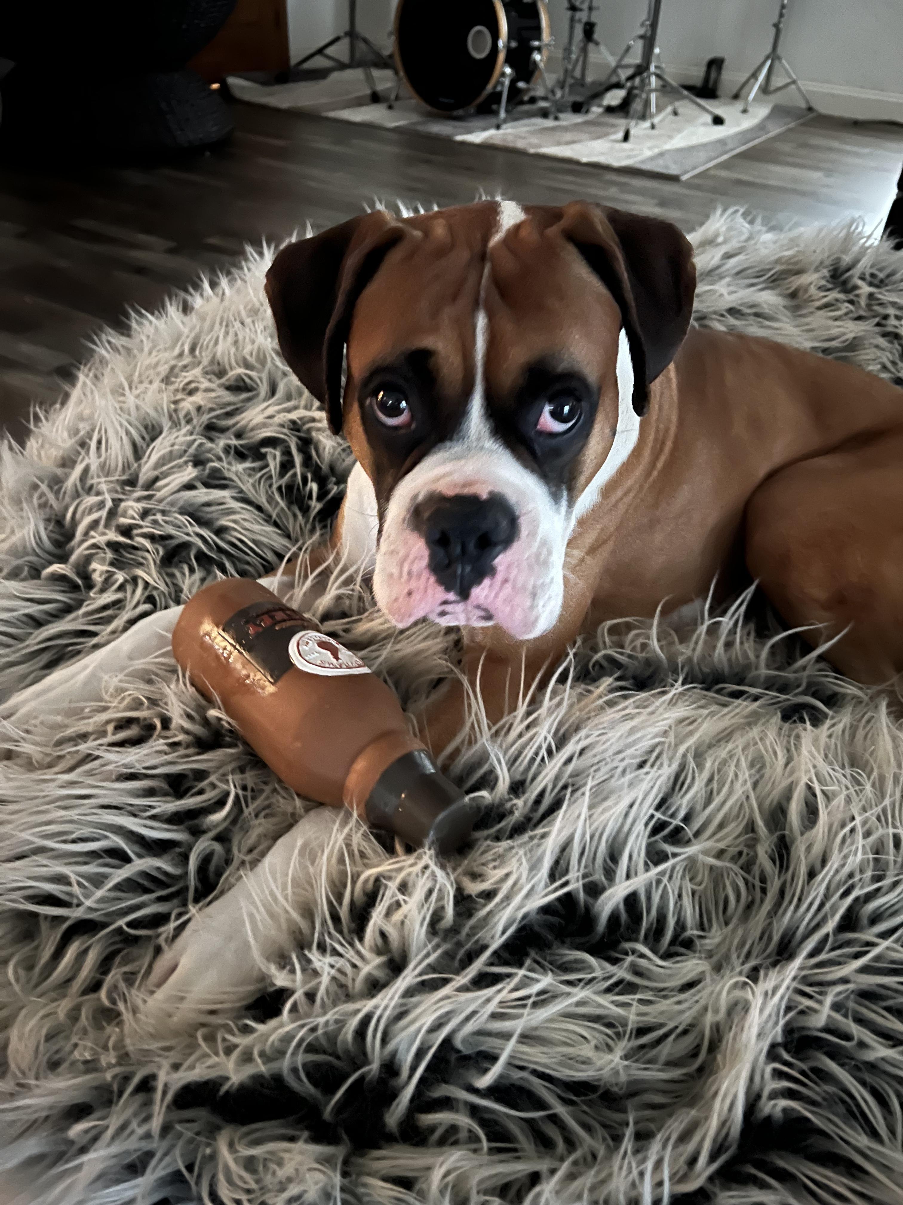 Bo