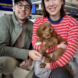 Lucky Country Bubbles AKA Bubs - Red male Australian Labradoodle puppy in Wake Forest, North Carolina from Lucky Country Labradoodles