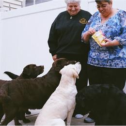 Labrador Retrievers from Brooklyn Labradors