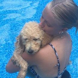 Goldendoodle Puppies from Lu Doodles