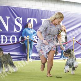Standard Schnauzers from Monarca Standard Schnauzers