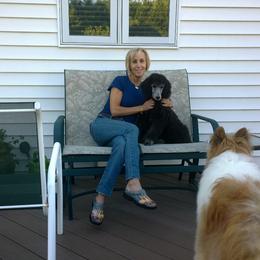 Poodle Puppies from Michelet Poodles