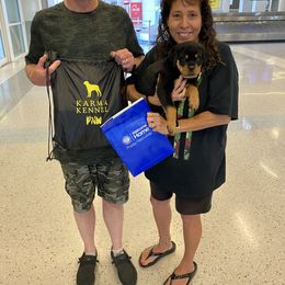 Rottweiler Puppies from KarmaKennelPNW