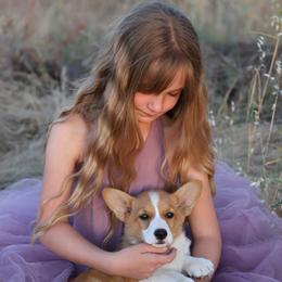 Pembroke Welsh Corgi Puppies from Julia's Pembroke Welsh Corgis