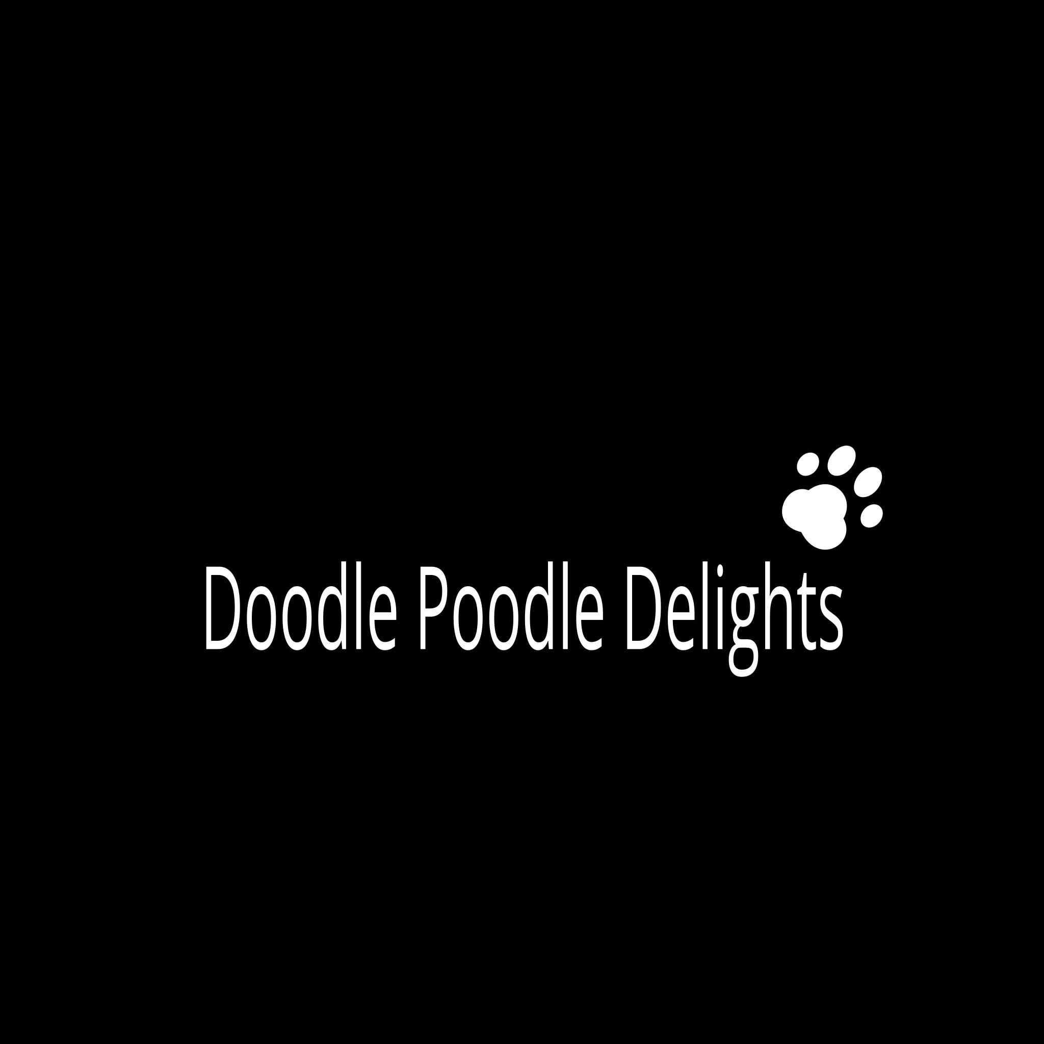 Doodle Poodle Delights in North Carolina Goldendoodle, Poodle or