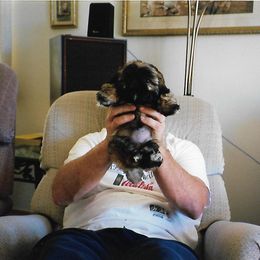 Shih Tzu Puppies from Shih Tzu Dreams Come True
