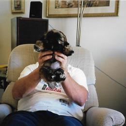 Shih Tzu Puppies from Shih Tzu Dreams Come True