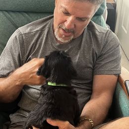 "Future Owner Joe and his pup Onyx (male)" Giant Schnauzer Puppies from Giant Strides Giants