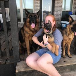 German Shepherd Puppies from Semper Fi K9 Montana