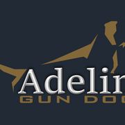 Pudelpointers from Adeline Gun Dogs