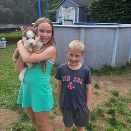 King - Brown and white male Siberian Husky puppy in Springfield, Massachusetts from 16acreshuskies