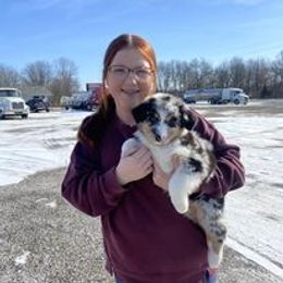 Aussiedoodle, Australian Shepherd, Poodle, Shihpoo, and Shih Tzu Puppies from Rockiń N Kennel