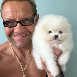 Sofia - White female Pomeranian puppy in Charlotte, North Carolina from Kouture Pomeranians