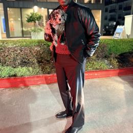 Albus Dunbledre - Merle male Goldendoodle puppy in Houston, Texas from Were The Mack'Doodles