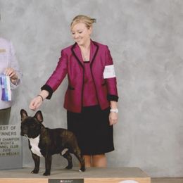 French Bulldogs from Starlit Mesa French Bulldogs