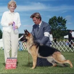 German Shepherds from Anne Isle German Shepherds