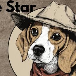 Beagles from Lonestar Beagles