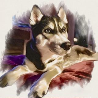 Nikita
